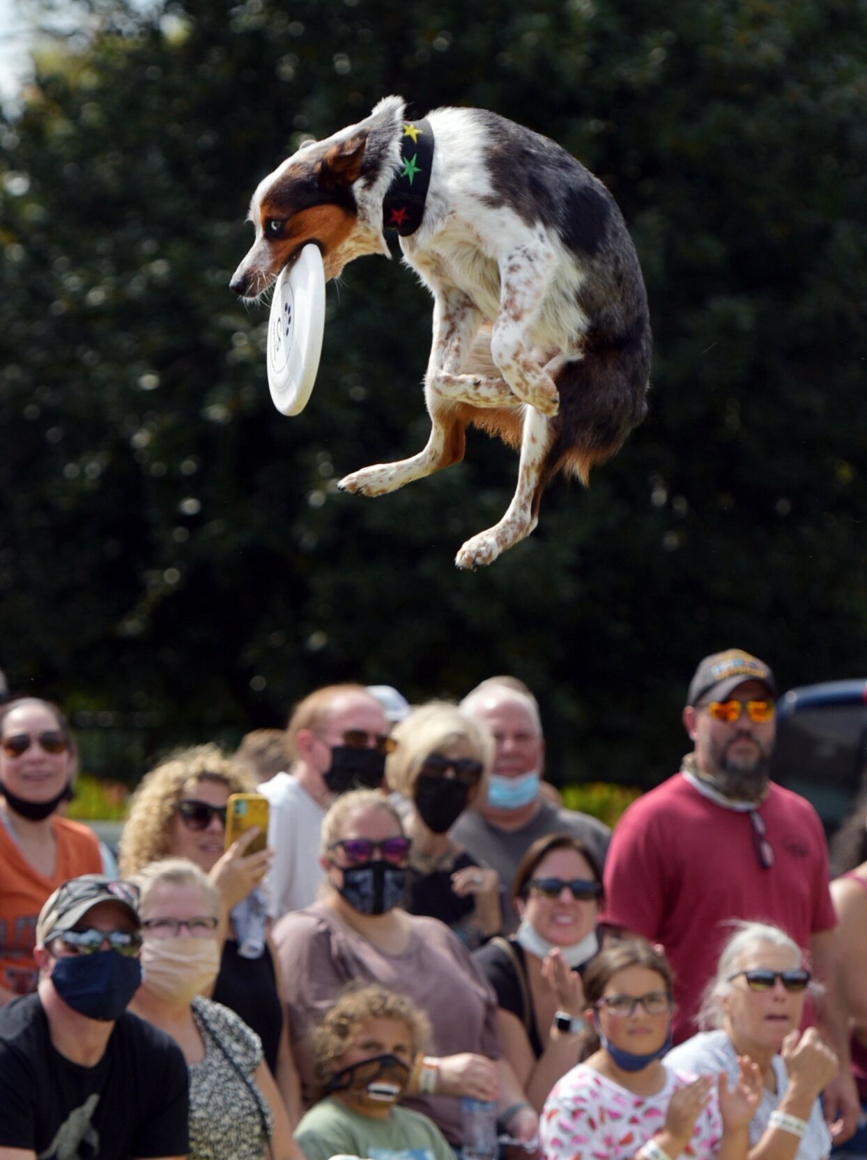 Carolina Classic Fair